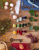 The Centraliser Collection (Pay Bi-Monthly)
