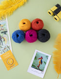 Birds Club (Pay Quarterly)